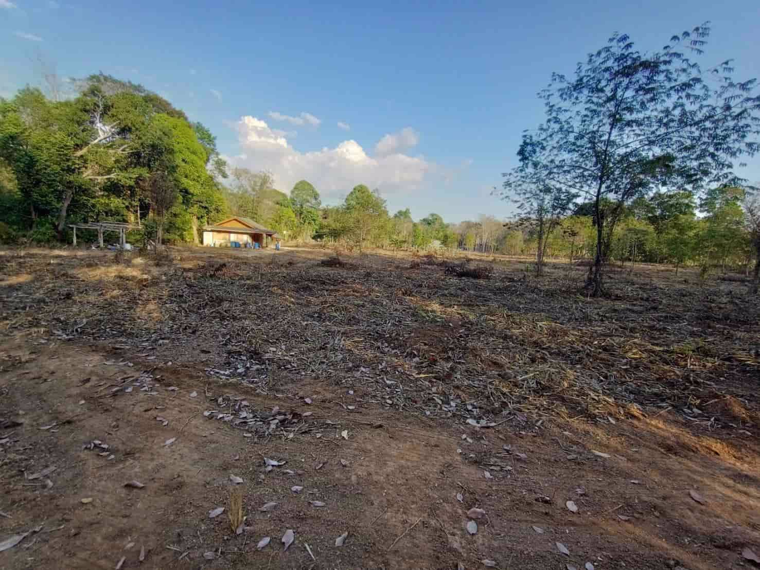 ขายที่ดินสวย-มีอนาคต-ท่าโสม-จตราด-