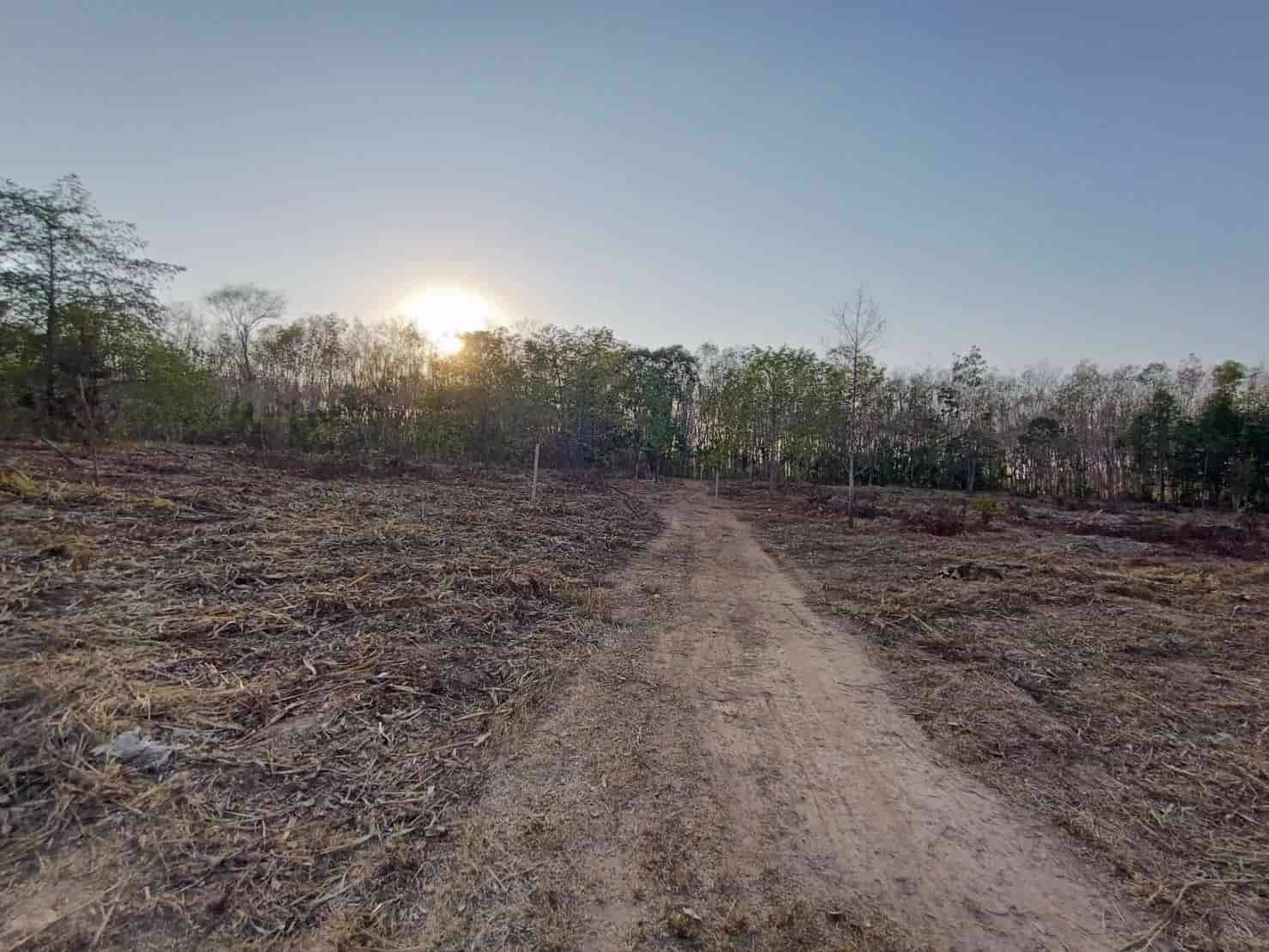 ขายที่ดินสวย-มีอนาคต-ท่าโสม-จตราด-