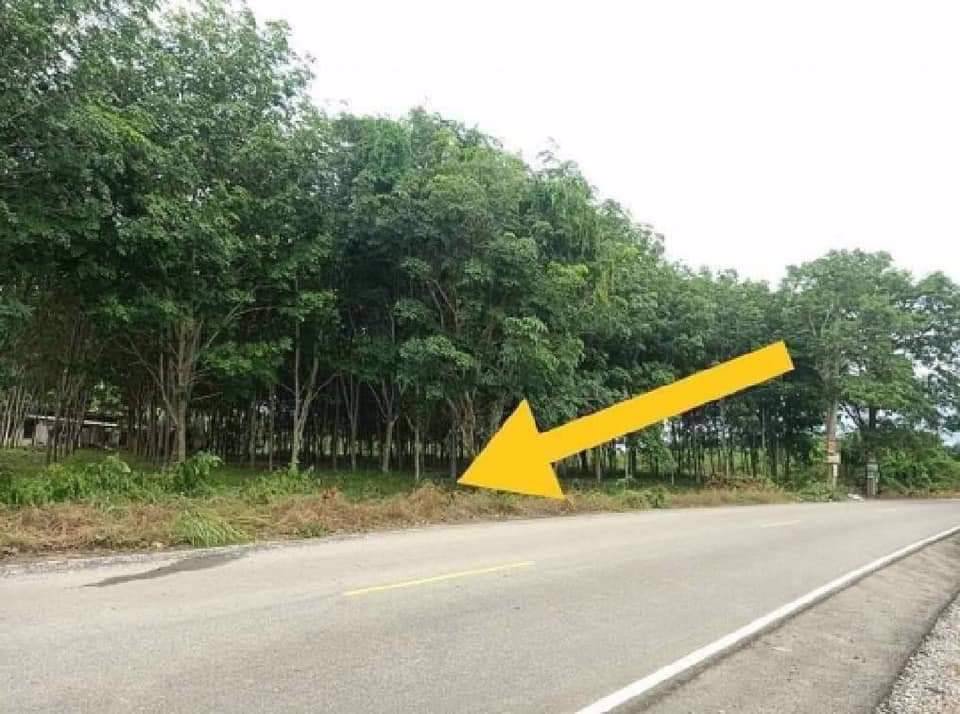 ขายที่ดินโฉนด-2ไร่-1งาน-83-ตรว