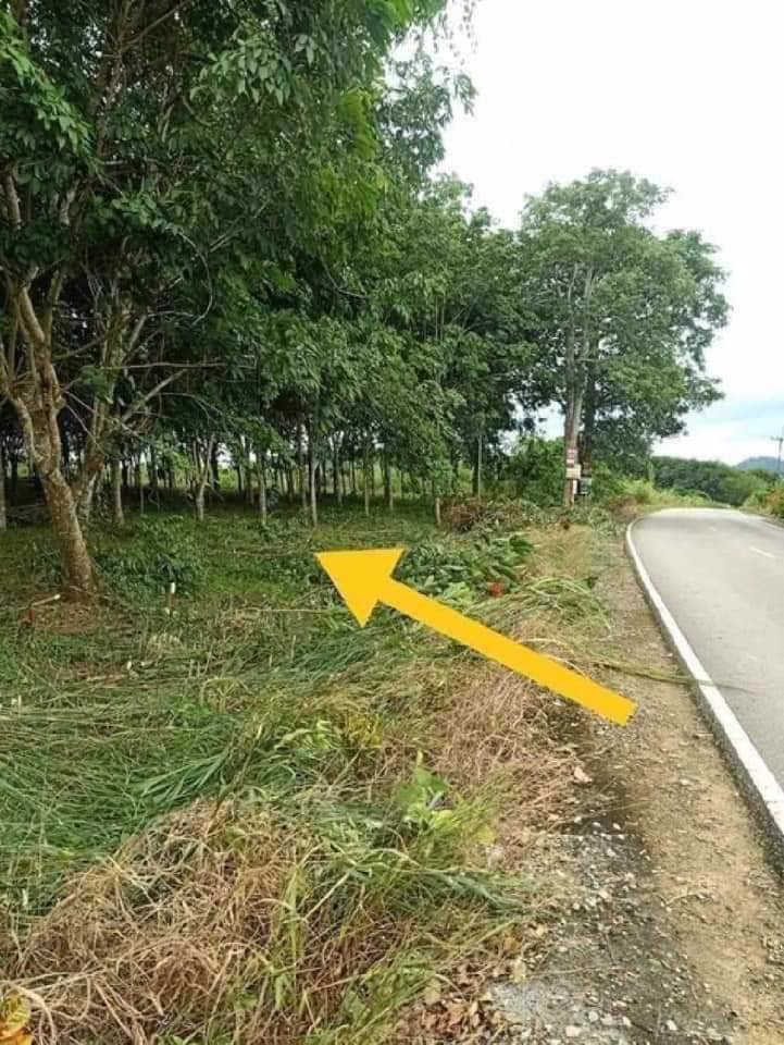 ขายที่ดินโฉนด-2ไร่-1งาน-83-ตรว