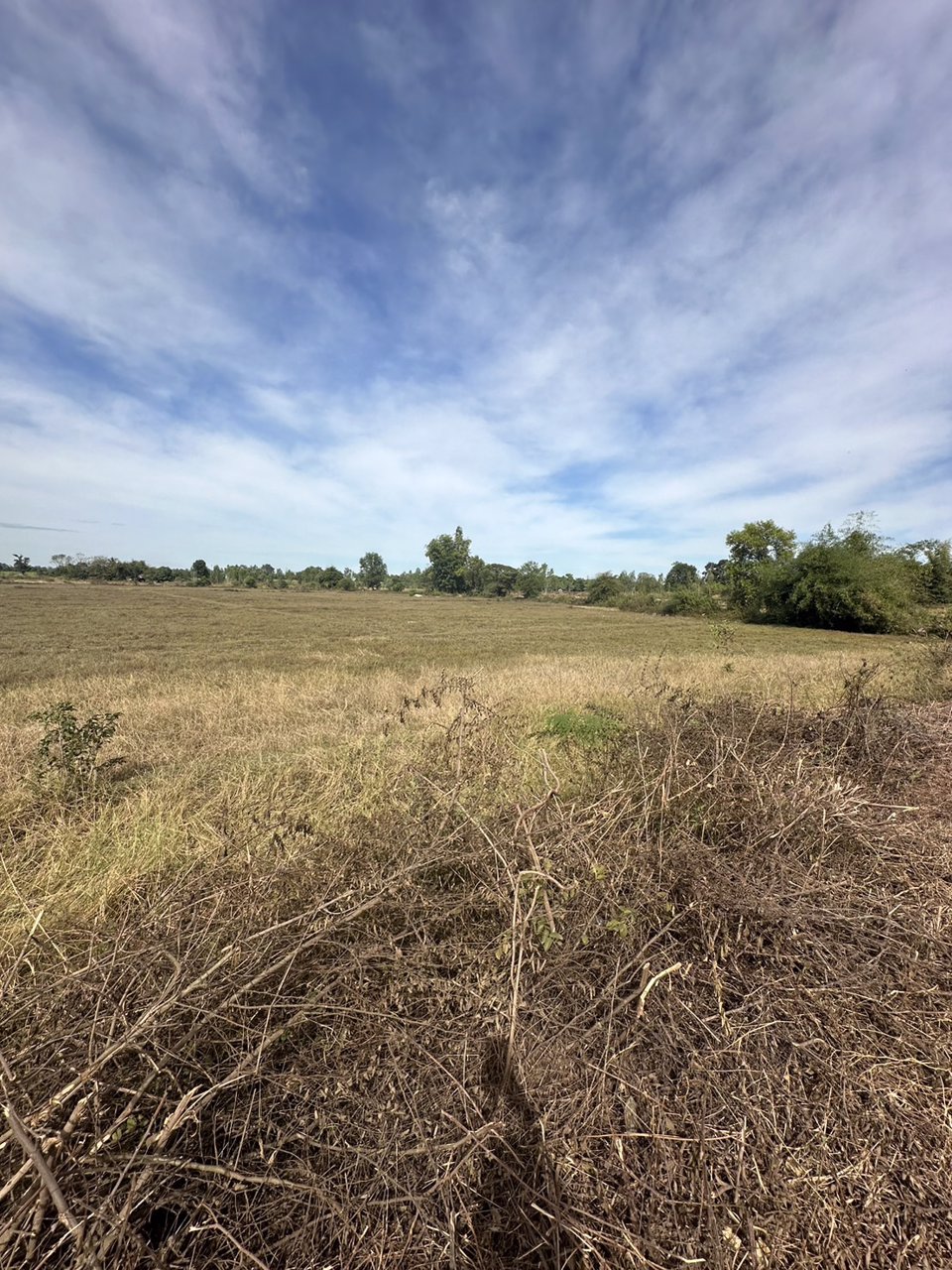 ขายที่ดินสวย-เนื้อที่-14-ไร่-ติดถนนลาดยาง-ไฟฟ้าผ่าน