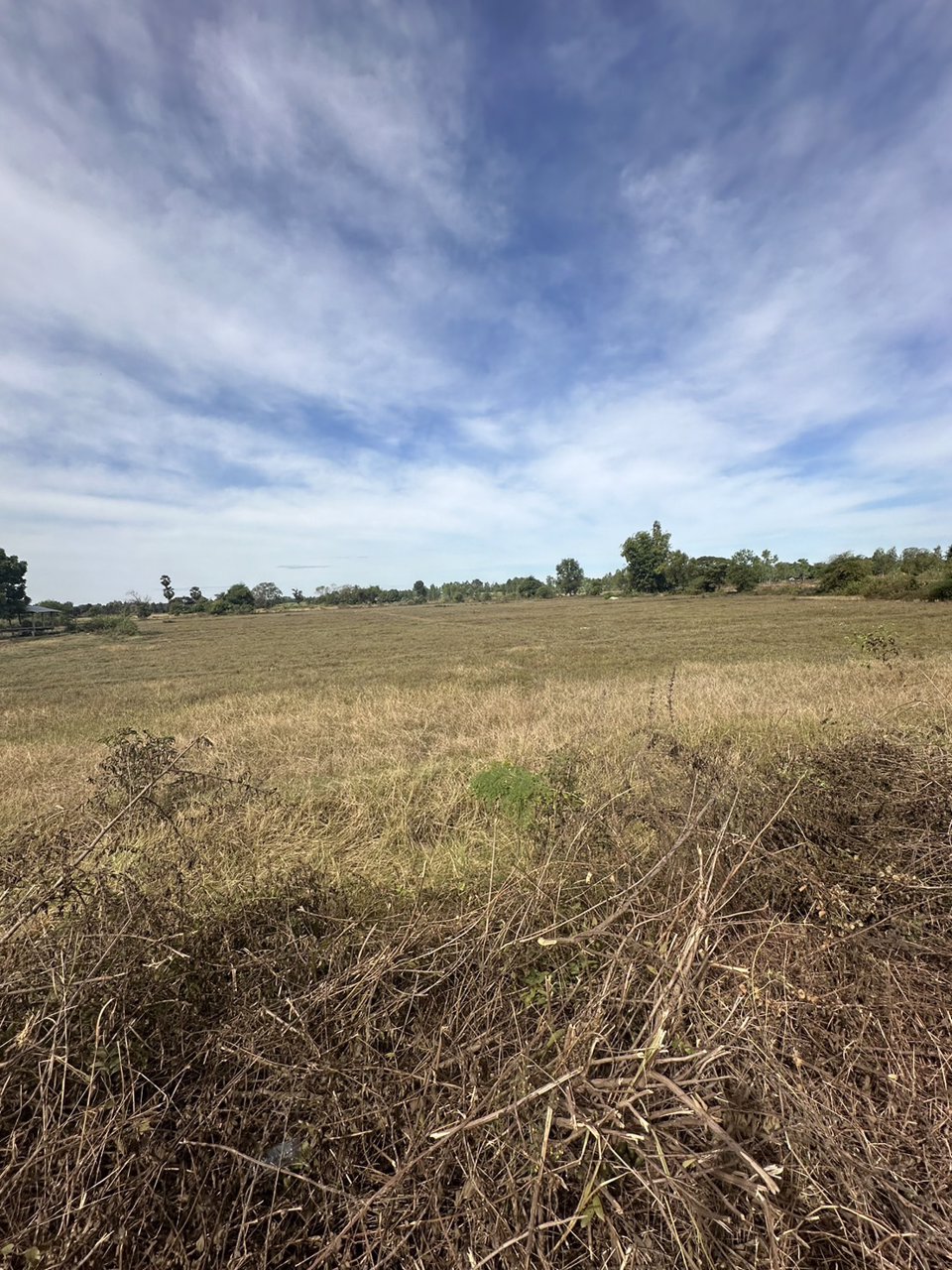 ขายที่ดินสวย-เนื้อที่-14-ไร่-ติดถนนลาดยาง-ไฟฟ้าผ่าน