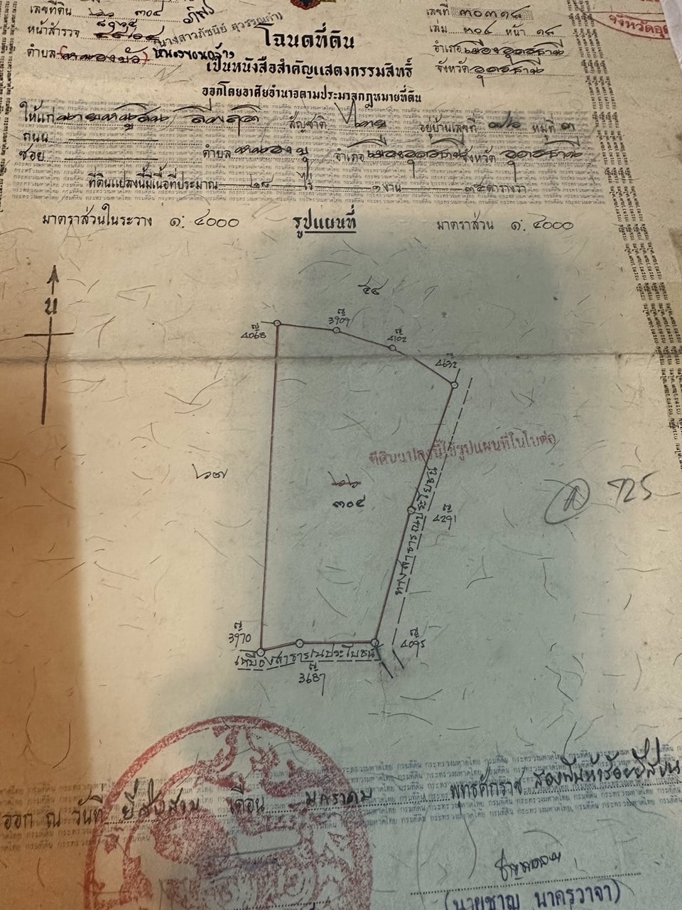 ขายที่ดินสวย-เนื้อที่-14-ไร่-ติดถนนลาดยาง-ไฟฟ้าผ่าน