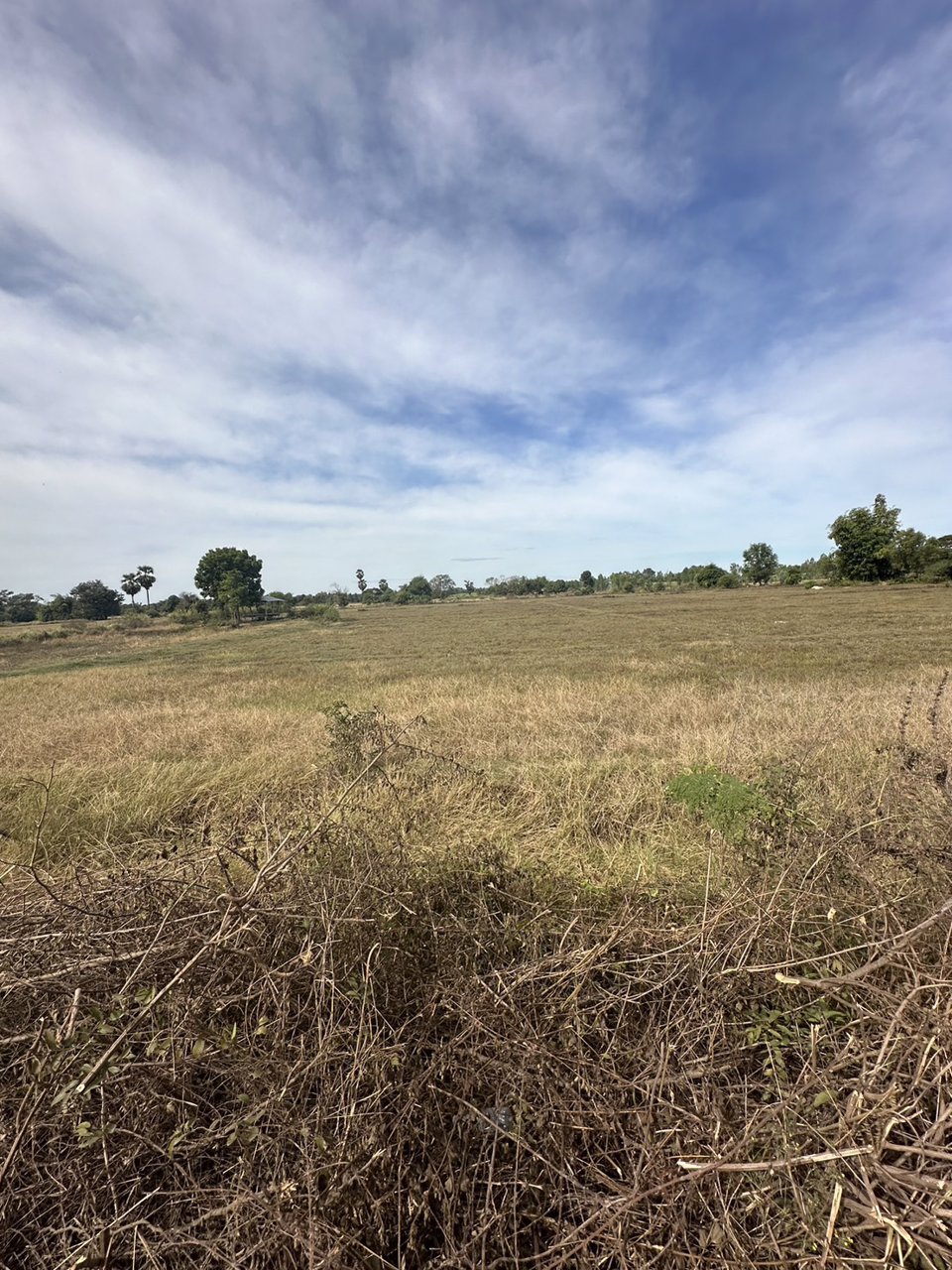 ขายที่ดินสวย-เนื้อที่-14-ไร่-ติดถนนลาดยาง-ไฟฟ้าผ่าน