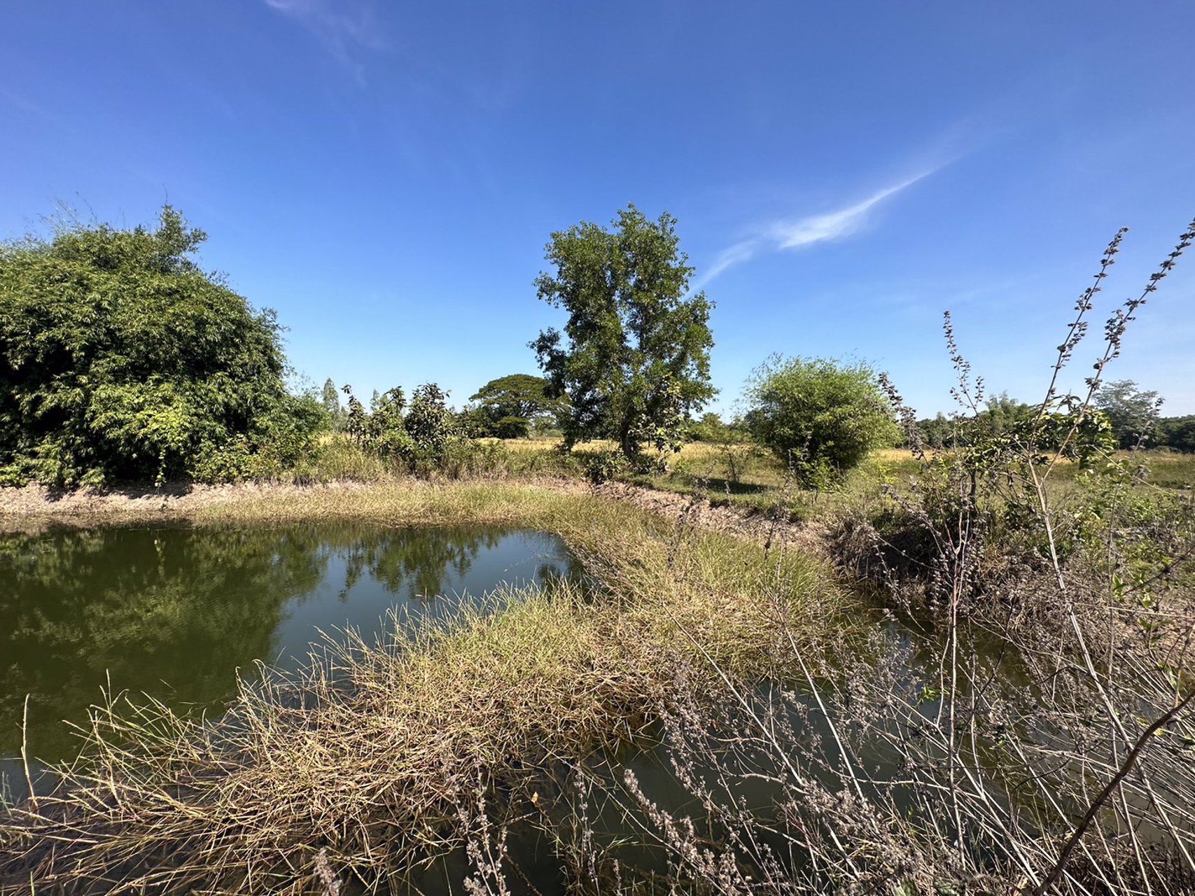 ขายที่ดินสวย-เนื้อที่-14-ไร่-ติดถนนลาดยาง-ไฟฟ้าผ่าน