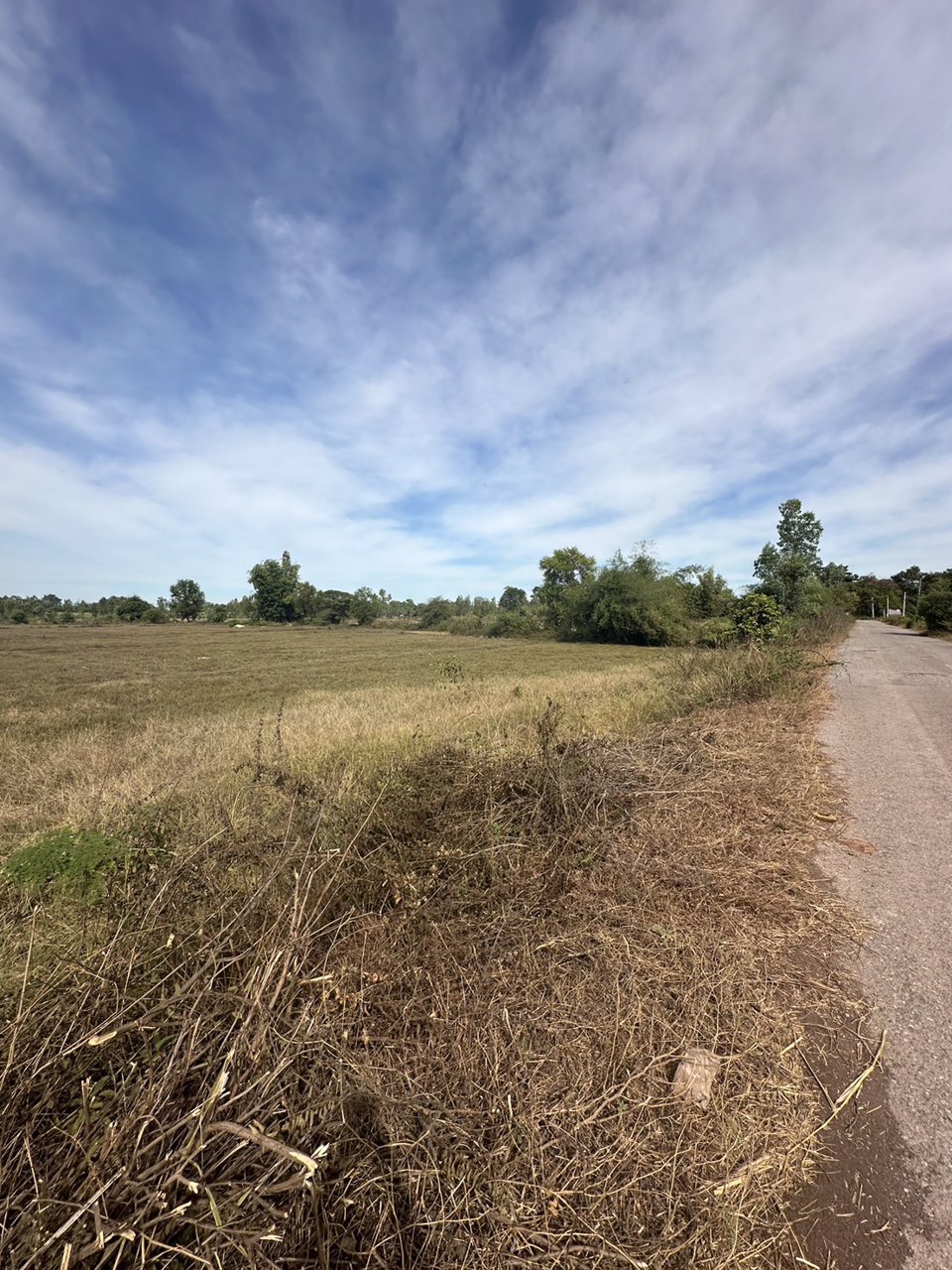 ขายที่ดินสวย-เนื้อที่-14-ไร่-ติดถนนลาดยาง-ไฟฟ้าผ่าน