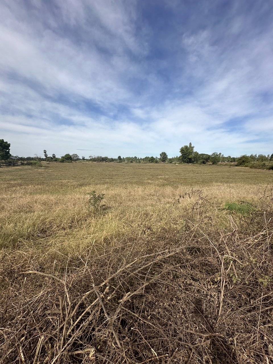 ขายที่ดินสวย-เนื้อที่-14-ไร่-ติดถนนลาดยาง-ไฟฟ้าผ่าน