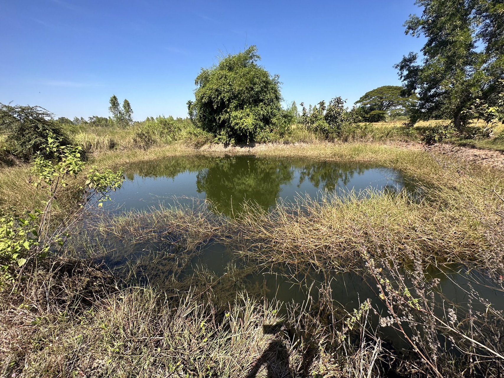 ขายที่ดินสวย-เนื้อที่-14-ไร่-ติดถนนลาดยาง-ไฟฟ้าผ่าน