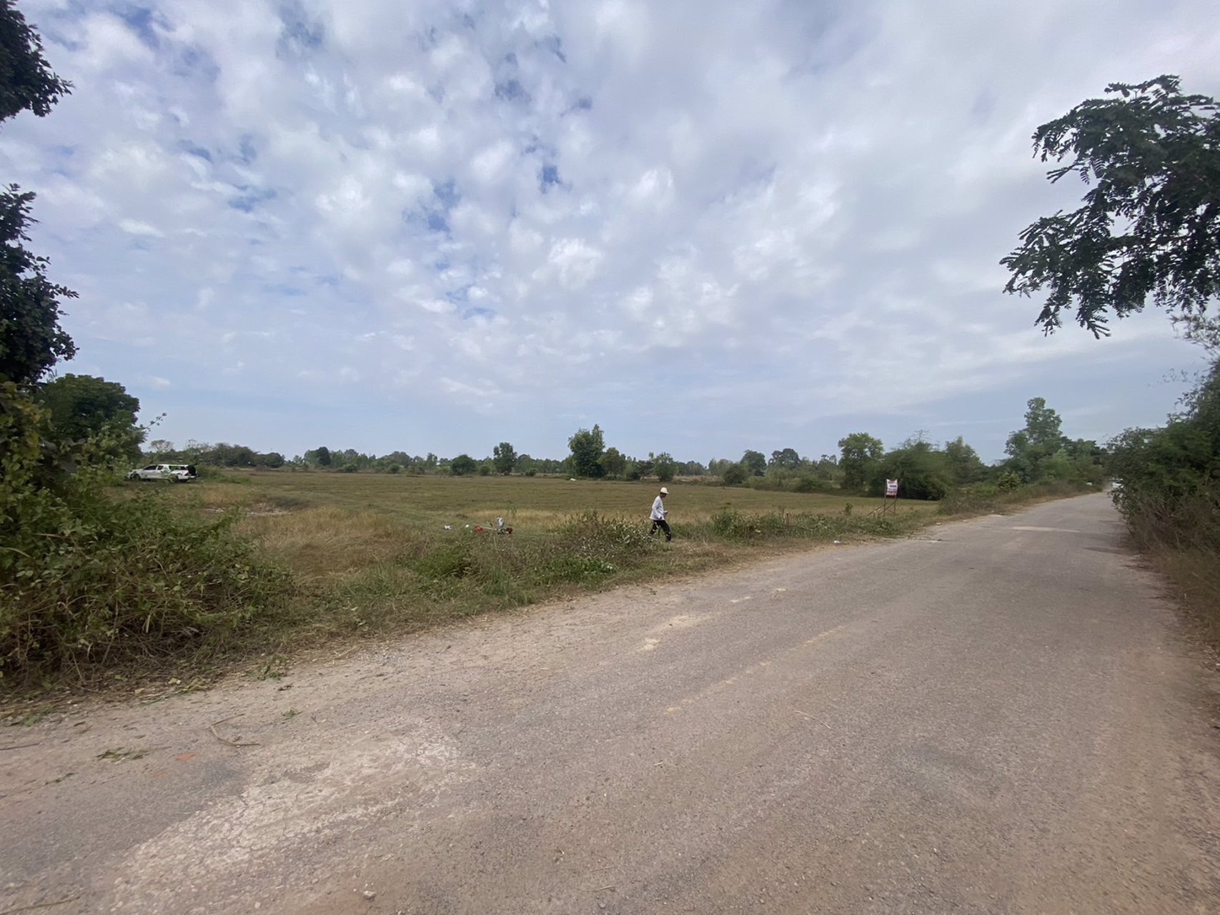 ขายที่ดินสวย-เนื้อที่-14-ไร่-ติดถนนลาดยาง-ไฟฟ้าผ่าน