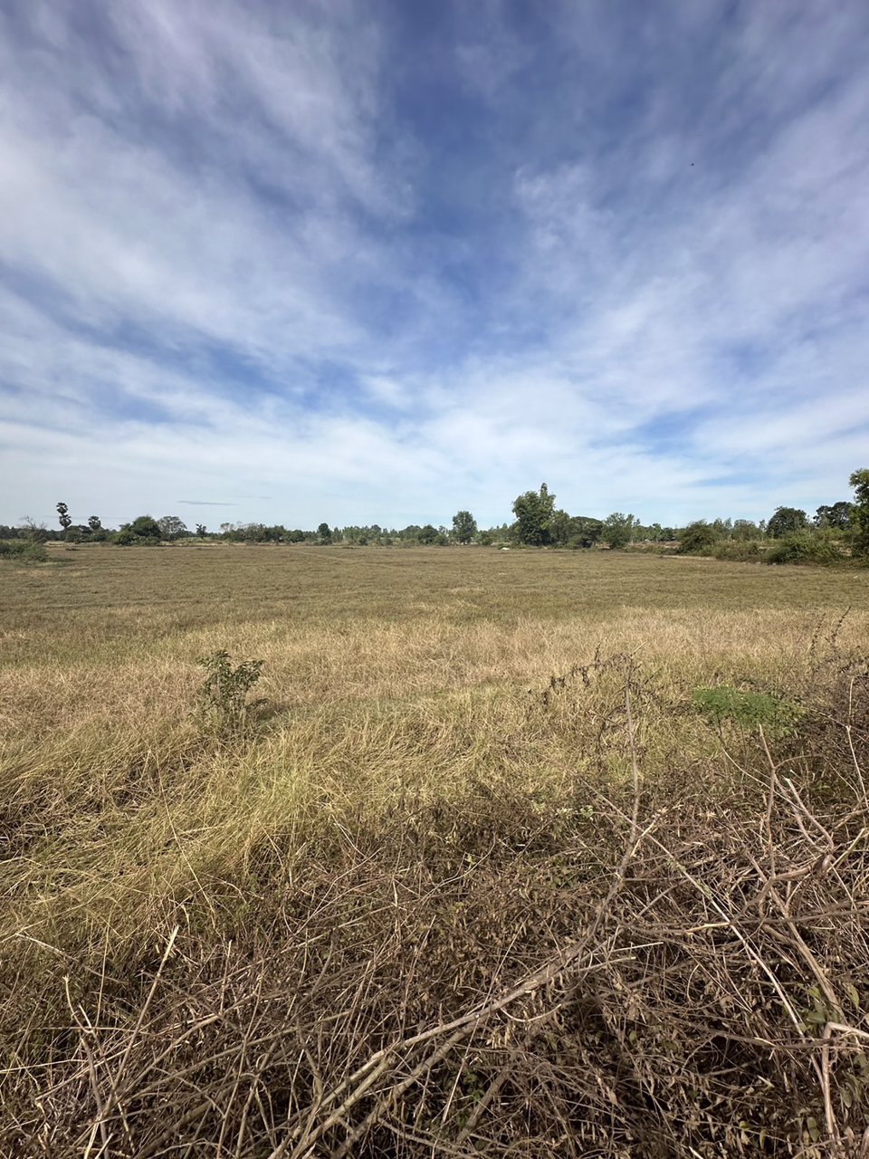 ขายที่ดินสวย-เนื้อที่-14-ไร่-ติดถนนลาดยาง-ไฟฟ้าผ่าน