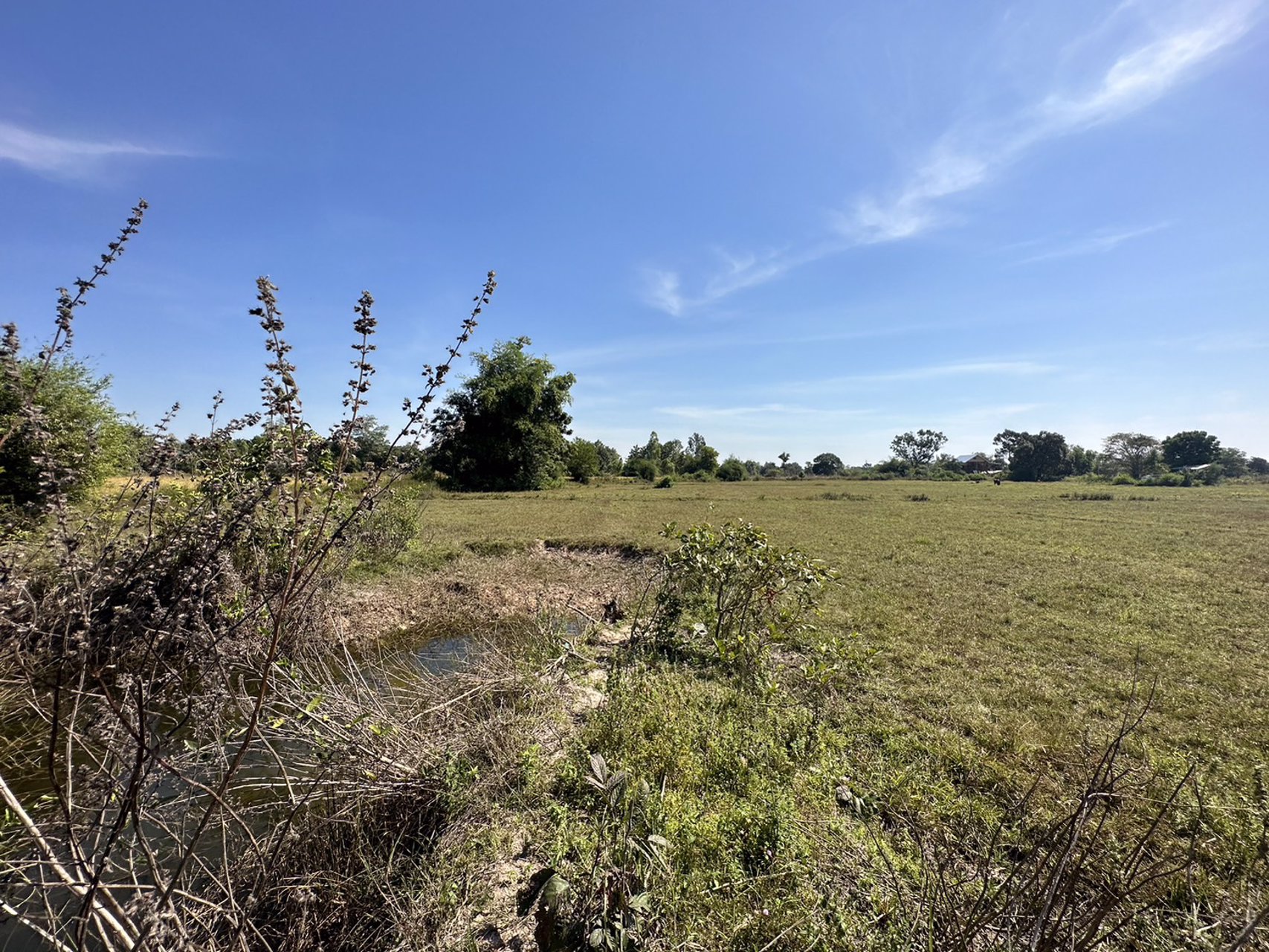 ขายที่ดินสวย-เนื้อที่-14-ไร่-ติดถนนลาดยาง-ไฟฟ้าผ่าน