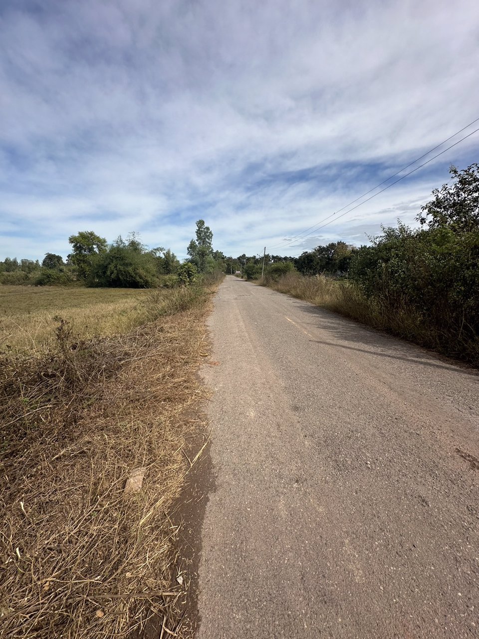 ขายที่ดินสวย-เนื้อที่-14-ไร่-ติดถนนลาดยาง-ไฟฟ้าผ่าน