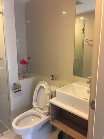 l20-613ให้เช่า-โมนีค-สุขุมวิท-64-1-ห้องนอน-ชั้น-3-ขนาด-32-ตรม-ใกล้รถไฟฟ้า-bts-ปุณณวิถี