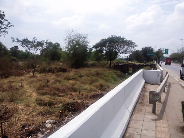 ขายที่ดิน-48-ตรว-นิมิตใหม่-มีนบุรี-เหมาะปลูกบ้าน-ขายถูก