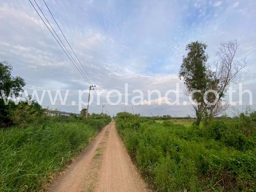 ขายที่ดิน-1-ไร่-ซบงกช-6-คลองหลวง-แหล่งชุมชน-ใกล้แม๊คโคร