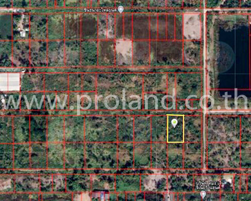 ขายที่ดิน-1-ไร่-ซบงกช-6-คลองหลวง-แหล่งชุมชน-ใกล้แม๊คโคร